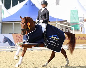 Bundeschampion Camino Royal is part of the 2016 Ponyforum Open Sales collection