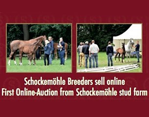 The 2017 Paul Schockemöhle online auction from 19 - 25 June 2017