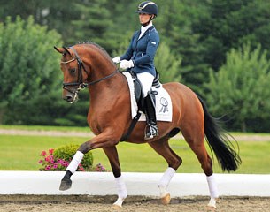 2014 PSI Auction horse Quel Filou (by Quaterback x Stedinger) won bronze at the 2014 Bundeschampionate