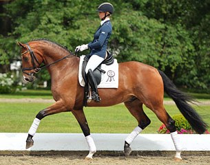 SPH Dante, a 2007 born Hanoverian gelding by Welfenadel x Dormello x Donnerschwee