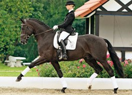 Eva Möller aboard PSI auction horse St. Emilion