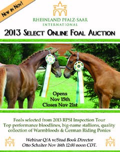 2013 Rheinland Pfalz-Saar International Online Select Foal Auction