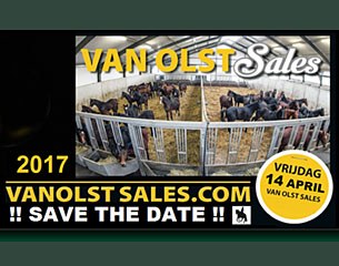 The 2017 Van Olst Sales on 14 April 2017