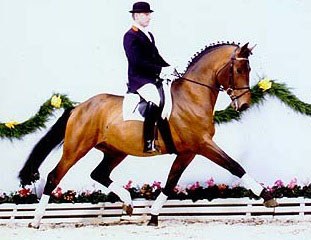 Johannes Westendarp on Vechta auction horse August der Starke which sold to Max-Theurer for 334,000 euro in 1999