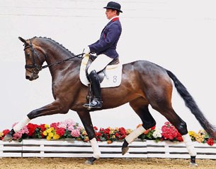 Biscaya at the 2013 Vechta Autumn Elite Auction :: Photo © Tammo Ernst