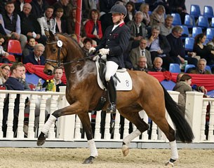 Flying Dancer at the 2016 Oldenburg Elite Spring Auction :: Photo © Tammo Ernst