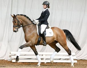 Belaggio (by Belissimo M x Ehrentanz x Florestan), catalog number one of the 2016 Hanoverian Spring Elite Auction on 26 March 2016 :: Photo © Ernst