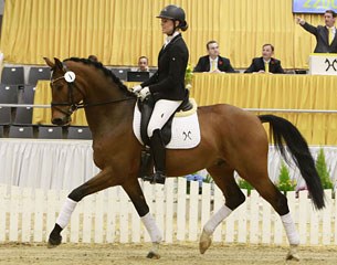 Belaggio at the 2016 Hanoverian March Auction in Verden :: Photo © Tammo Ernst