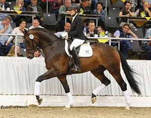 Furst Hit at the 2016 Hanoverian Summer Auction :: Photo © Tammo Ernst