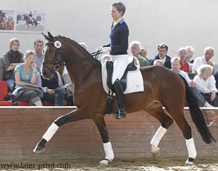 Rock Steady, price highlight of the 2011 Mai Auction in Verden :: Photo © Tammo Ernst