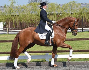 Cerano Gold (by Serano Gold x Lancelot)