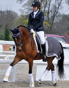 Champion de Luxe Junior