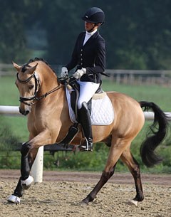 Corbusier (by Choco de Luxe x Billy The Kid), winner of the bronze medal at the 2016 Bundeschampionate