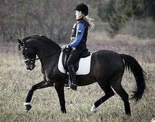 Darius von Herrenhof (by Dexter x Brillant)