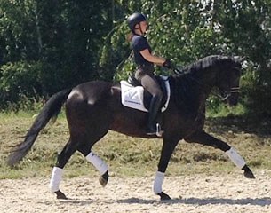 Domain (by Don Frederico x Wolkentanz)