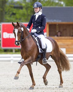 FEI dressage pony Dornier