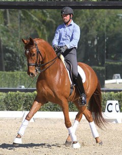 Internationally competed Grand Prix horse Et Voila (by Earl x Matcho AA) :: Photo © Richard Malmgren