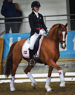 FEI dressage pony mare Gee Gee