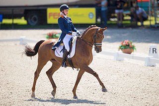 Jive (by Jazz x Vincent x Roemer)
