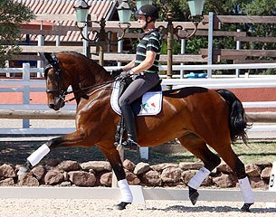 Lady Sinclair (by Lord Sinclair x Ramiro's Son)