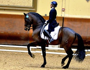 Internationally competed Grand Prix horse Osado 04