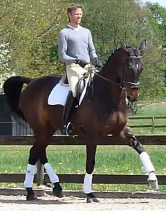 Rani van 't Prinsenhof (by Royal Diamond)