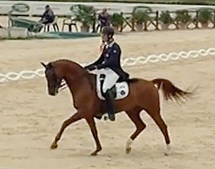 Rhadamanthus, aka Ray, at the 2015 Italian Young Riders Championships where he won bronze