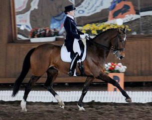 Rhylaine N (by Krack C x Zalmeco)