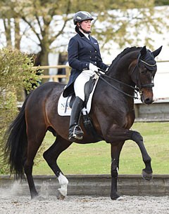 Sarotti (by Sir Donnerhall I x Cagliostro xx)