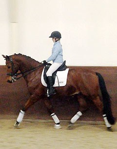 A rider/coach is wanted for this talented new junior rider's pair in Connecticut, U.S.A.