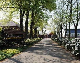 The idyllic driveway of Dressurpferde Ludwig Kathmann in Vechta, Germany