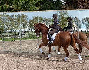 British U25 and Paralympian Sophie Wells trains Pinocchio with Mirrors for Training