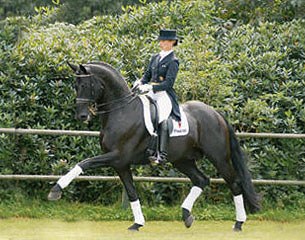 Rubinero (by Rubinstein x Ex Libris x Furioso II)