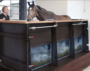 Equine water treadmill, also known as an aqua trainer