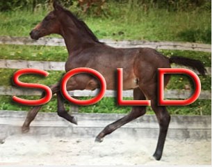 SOLD SOLD SOLD