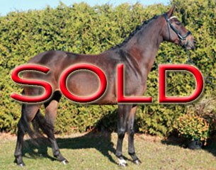 SOLD SOLD SOLD