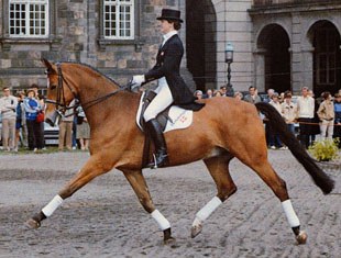 Anne Grethe Jensen and Marzog competing in Denmark :: Photo © Ridehesten.com