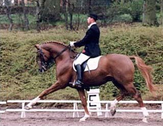 Heslegards Louis