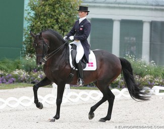 Mikala Munter and Leonberg at the 2010 CDIO Aachen :: Photo © Astrid Appels