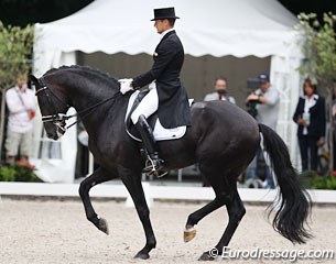 Gal and Zonik at the 2017 CDIO Rotterdam :: Photo © Astrid Appels
