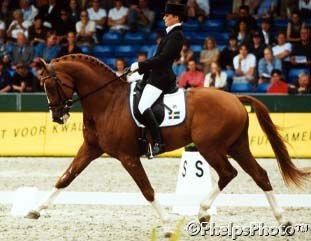 Hanzon And Telde Test Riders At 18 Swb Stallion Performance Testing