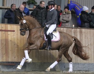 Test rider Jan M. Christensen on So Unique at the 2018 Danish Warmblood Autumn Stallion Performance Testing :: Photo © Ridehesten