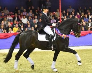 VTV Dressage Stallion 2018 Spirit of the Age OLD by Stedinger under his owner Bernadette Brune :: Photo © gr. Feldhaus)