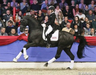 Simone Pearce and Bernay at the 2018 Oldenburg Althengst Parade :: Photo © LL-foto