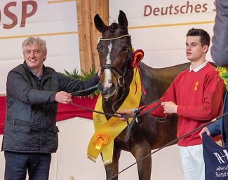 Libell, 2019 DSP Mare of the Year