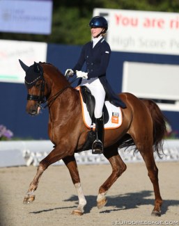 Pem Verbeek on the formerly Belgian owned licensed Oldenburg stallion Fernando Torres at the 2019 CDI-J Hagen :: Photo © Astrid Appels