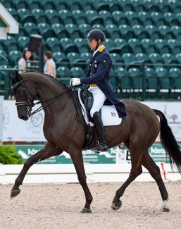 Endel Ots on Lucky Strike the pair is ranked # 1 in the Intermediaire small tour going in to the US Festival of Champions this week :: Photo © Sue Stickle