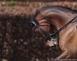 Hyperflexion, fortunately seen less and less at competitions in the last decade:: Photo © Astrid Appels