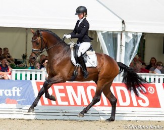 Rod Laver at the 2019 Hanoverian Young Horse Championships in Verden in August :: Photo © Christina Beuke