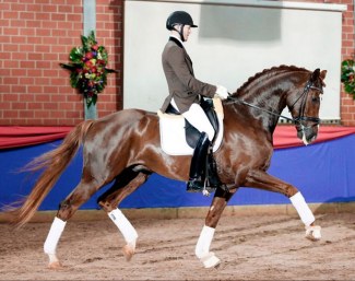 Don Deluxe (by De Niro x Rosario) :: Photo © LL-foto